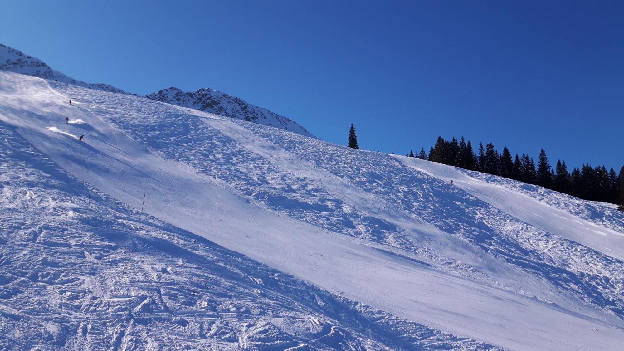 Hotel Alpengasthof Lowen Bad Hindelang Dış mekan fotoğraf