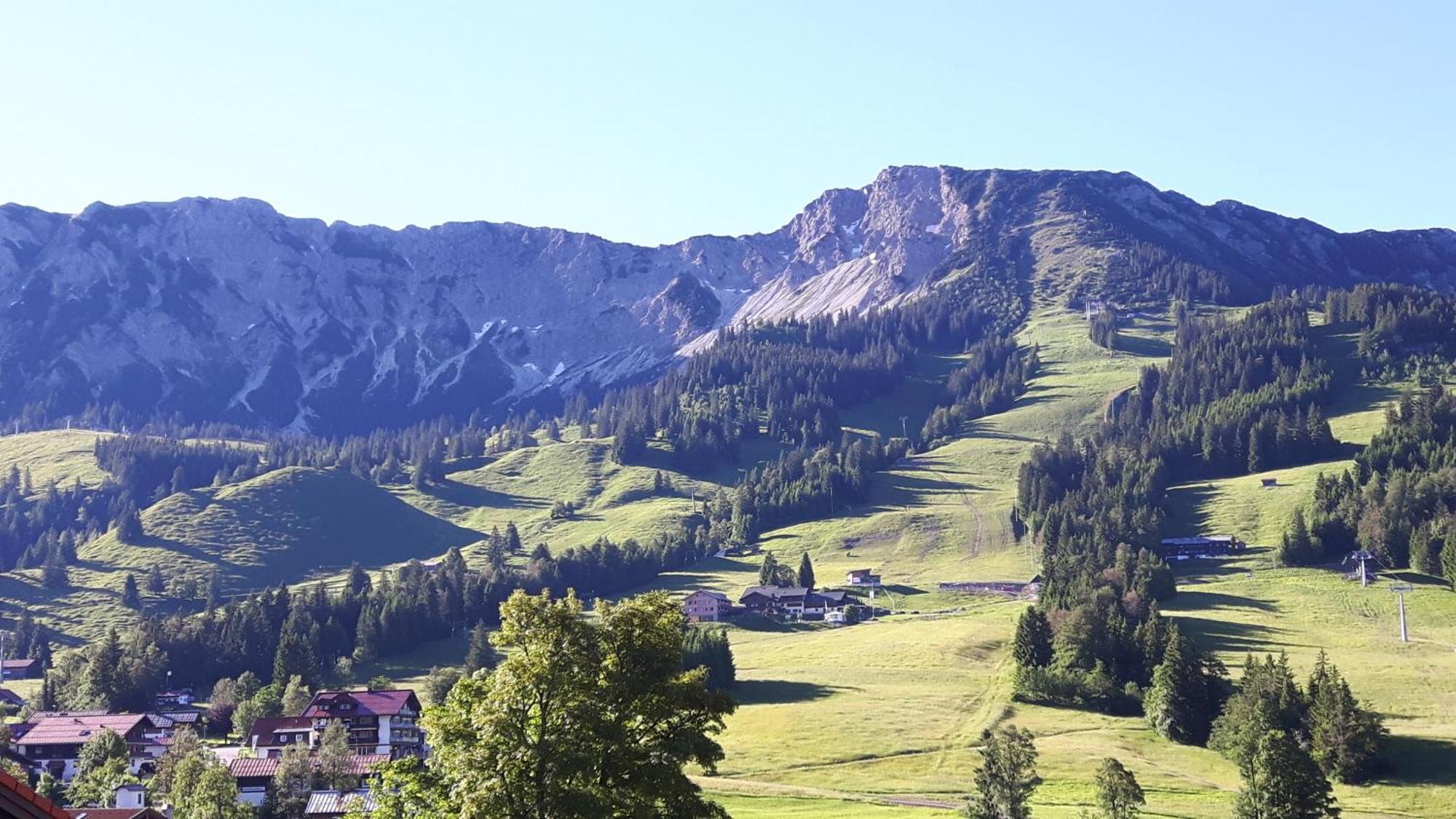 Hotel Alpengasthof Lowen Bad Hindelang Dış mekan fotoğraf